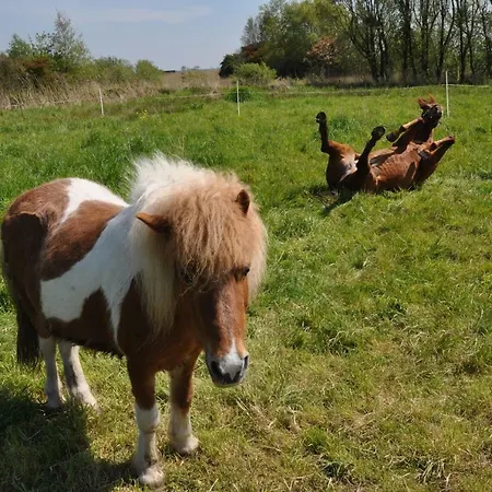 Sitting At The Bay Zuiderwoude