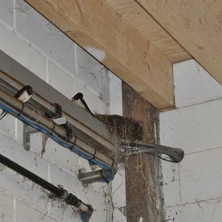 Sitting At The Bay Farmház