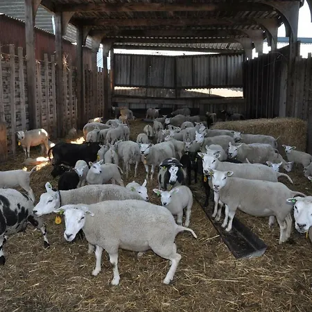 Sitting At The Bay Farmház *