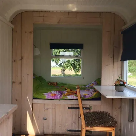 Sitting At The Bay * Zuiderwoude